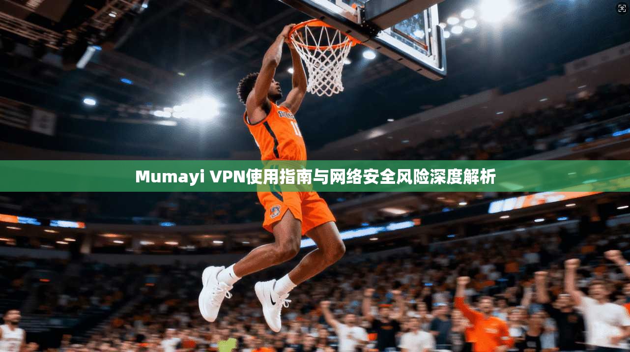 Mumayi VPN使用指南与网络安全风险深度解析