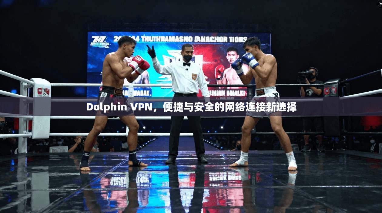 Dolphin VPN，便捷与安全的网络连接新选择