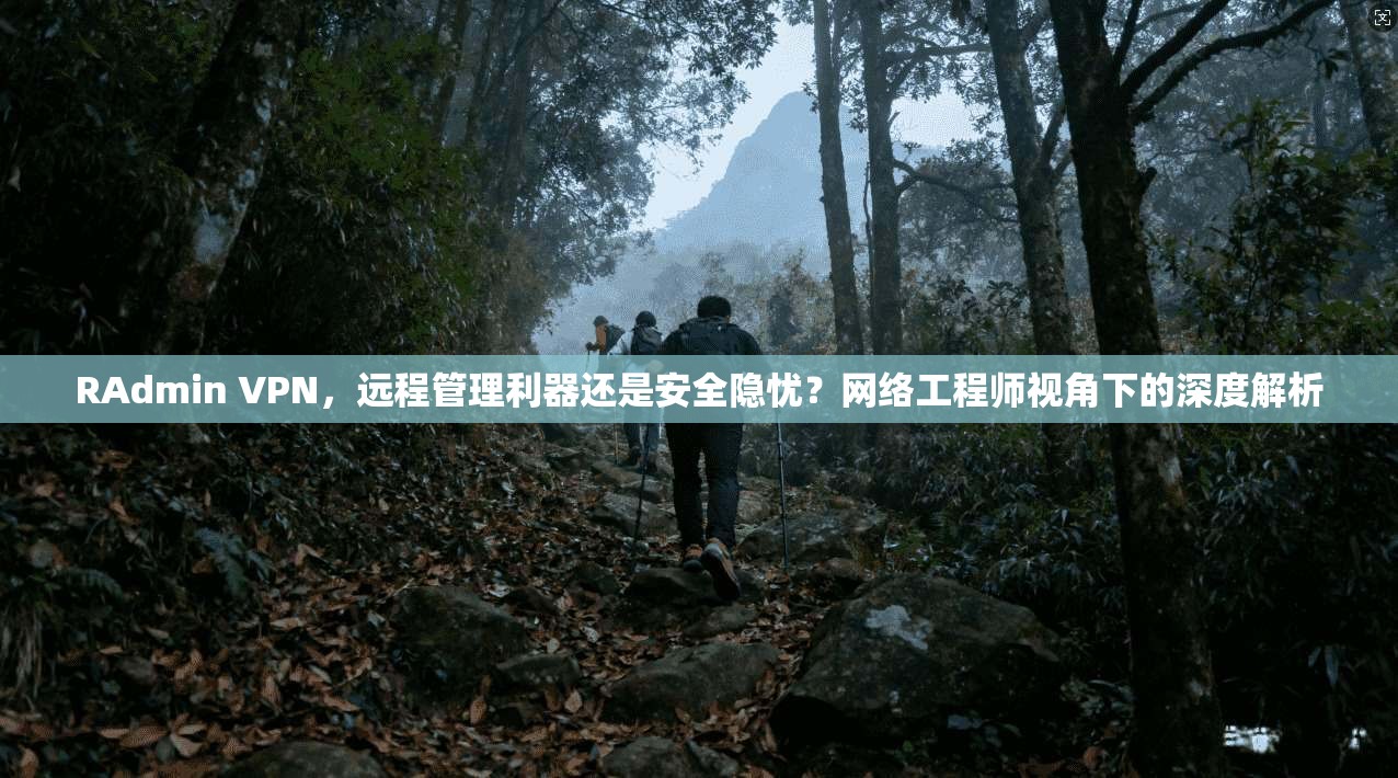 RAdmin VPN，远程管理利器还是安全隐忧？网络工程师视角下的深度解析