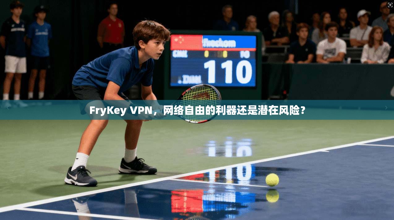 FryKey VPN，网络自由的利器还是潜在风险？