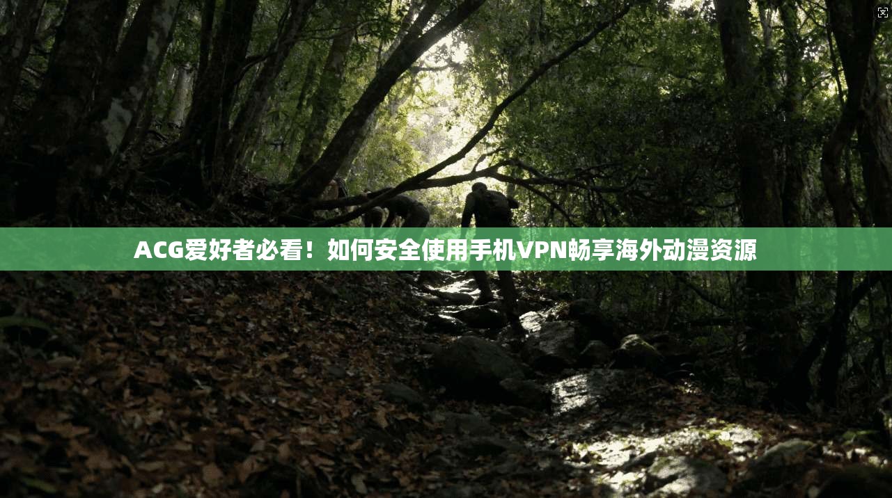 ACG爱好者必看！如何安全使用手机VPN畅享海外动漫资源