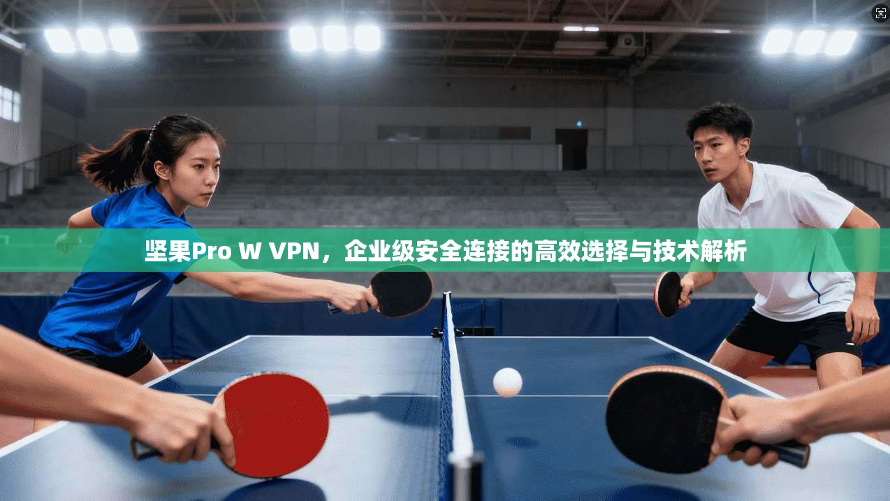 坚果Pro W VPN，企业级安全连接的高效选择与技术解析