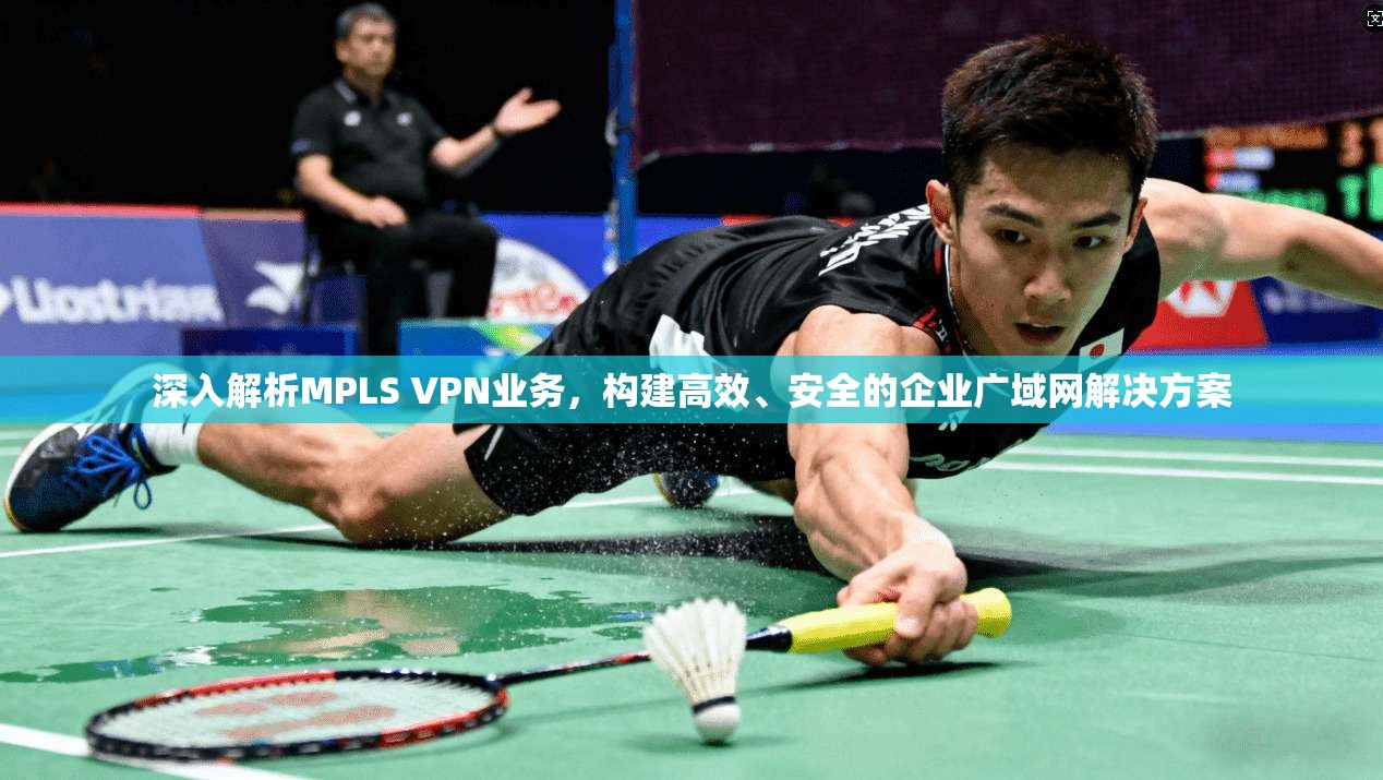 深入解析MPLS VPN业务，构建高效、安全的企业广域网解决方案
