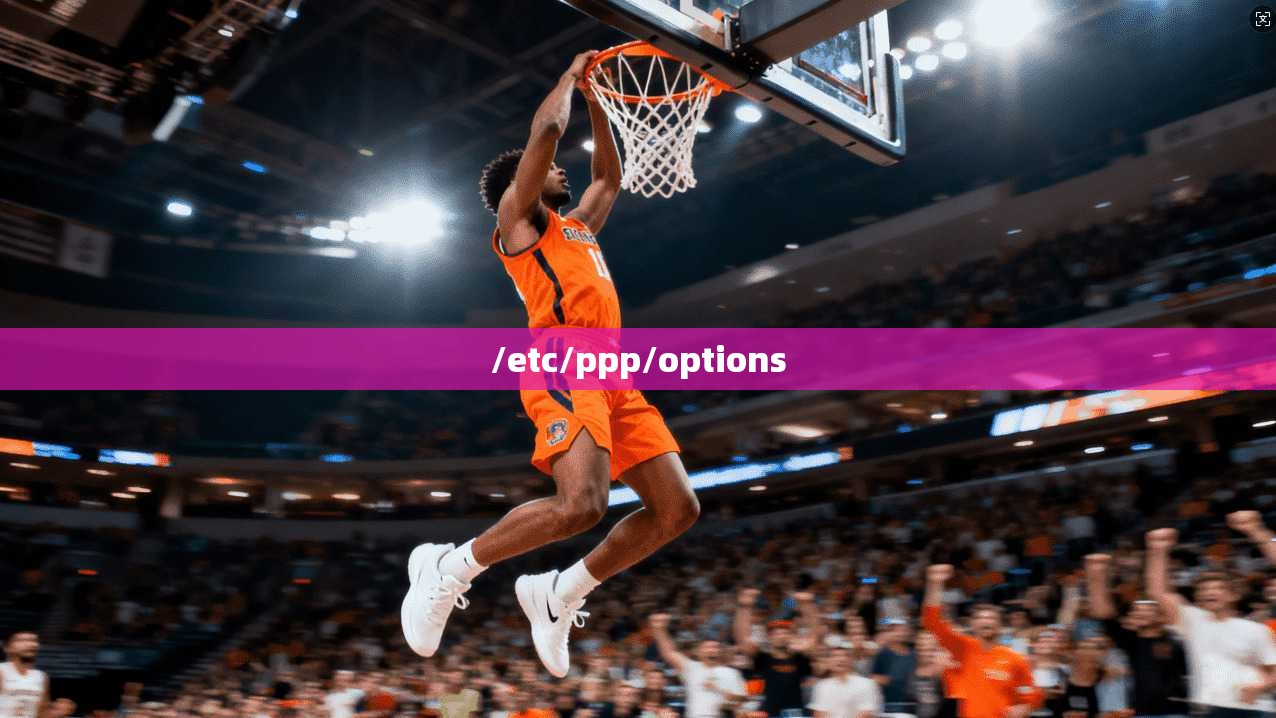 /etc/ppp/options
