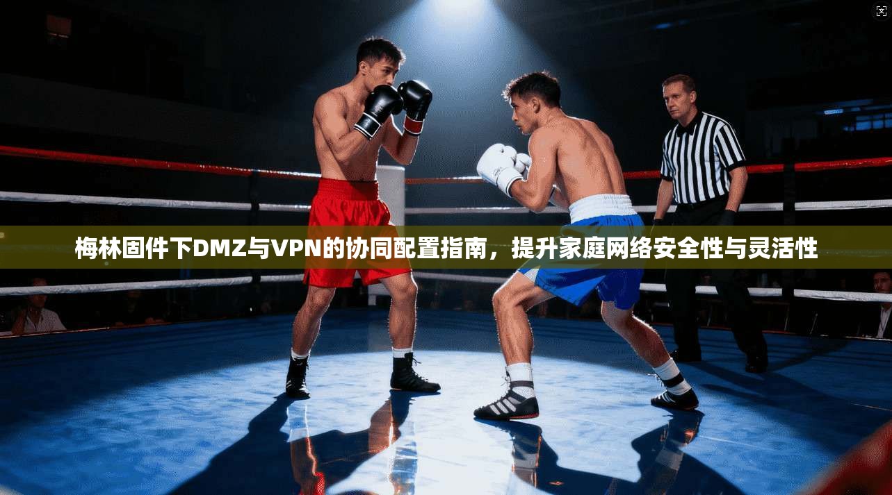 梅林固件下DMZ与VPN的协同配置指南，提升家庭网络安全性与灵活性
