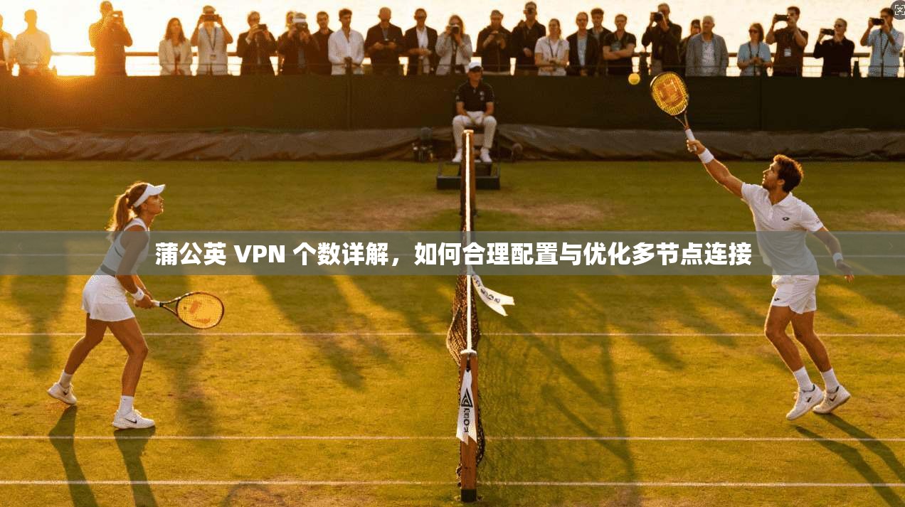 蒲公英 VPN 个数详解，如何合理配置与优化多节点连接