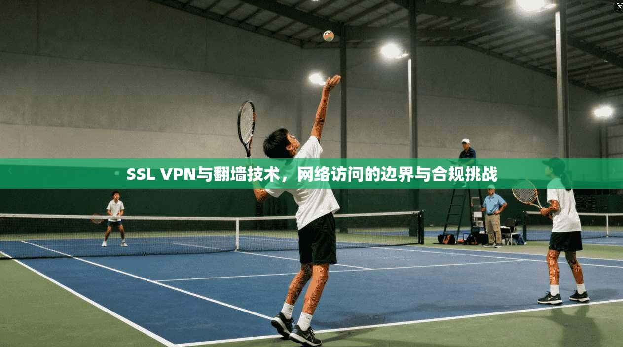 SSL VPN与翻墙技术，网络访问的边界与合规挑战