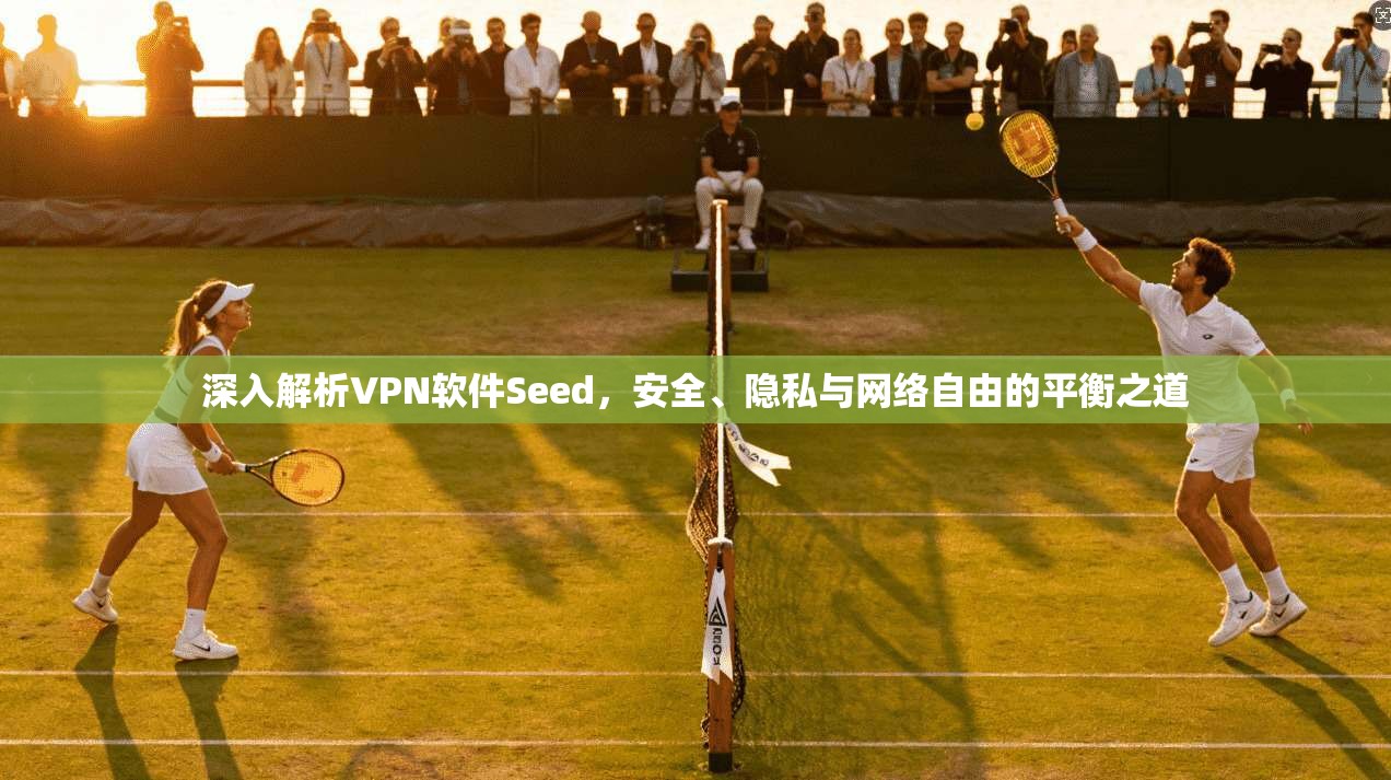 深入解析VPN软件Seed，安全、隐私与网络自由的平衡之道