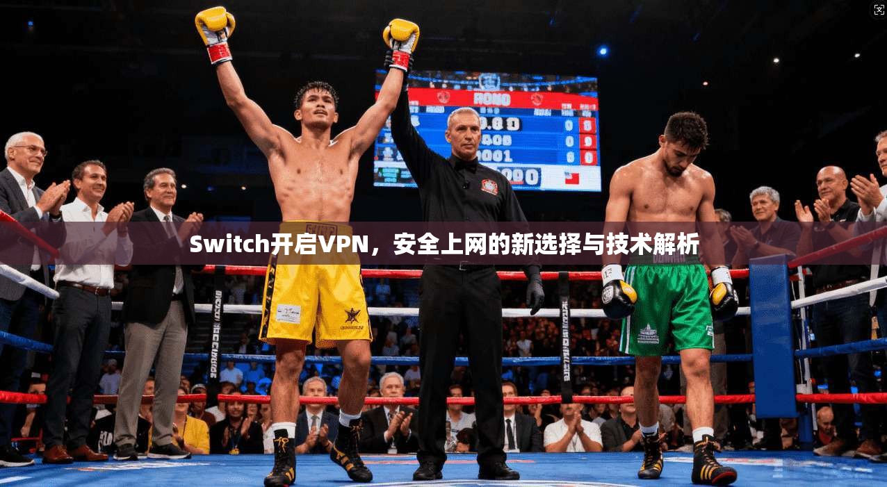 Switch开启VPN，安全上网的新选择与技术解析