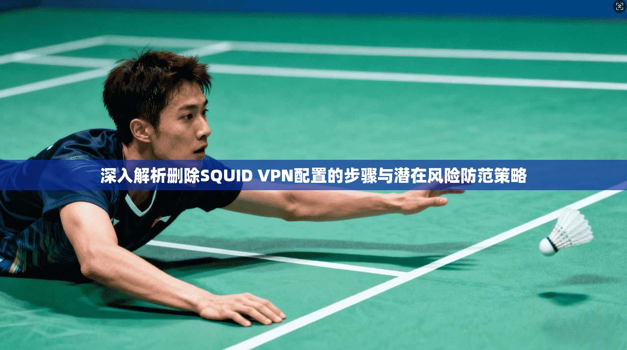 深入解析删除SQUID VPN配置的步骤与潜在风险防范策略