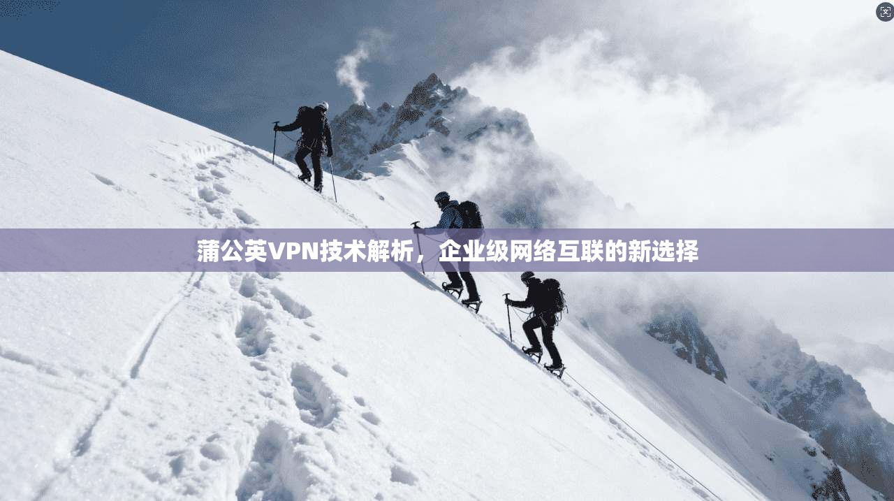 蒲公英VPN技术解析，企业级网络互联的新选择
