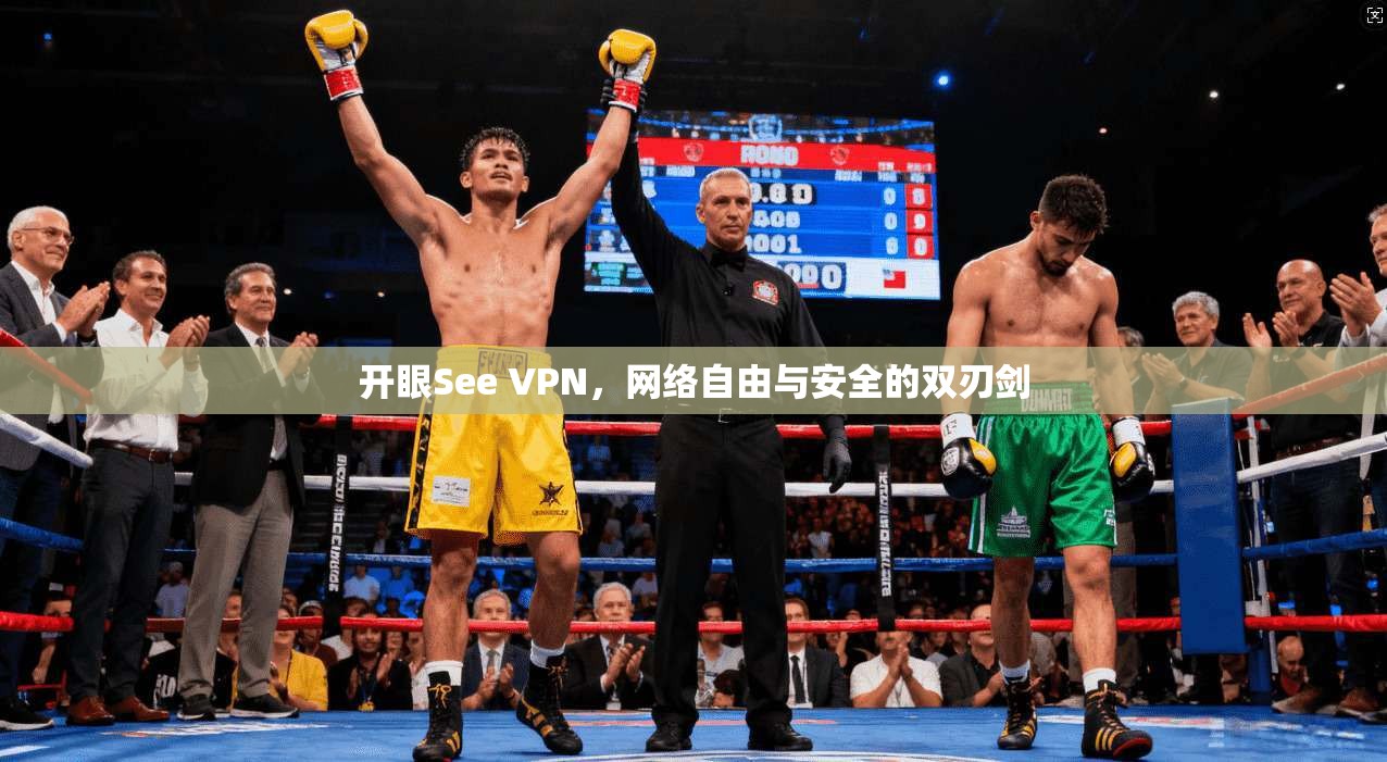 开眼See VPN，网络自由与安全的双刃剑