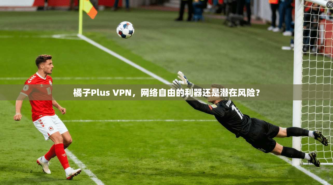 橘子Plus VPN，网络自由的利器还是潜在风险？