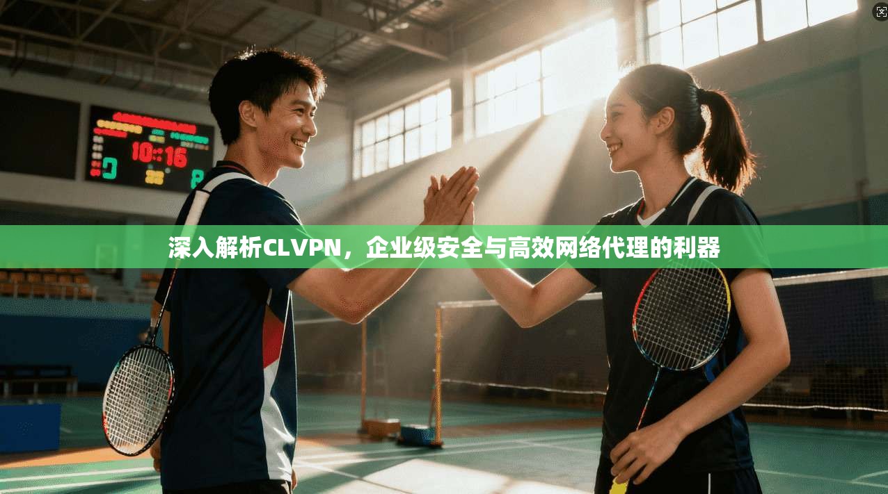 深入解析CLVPN，企业级安全与高效网络代理的利器
