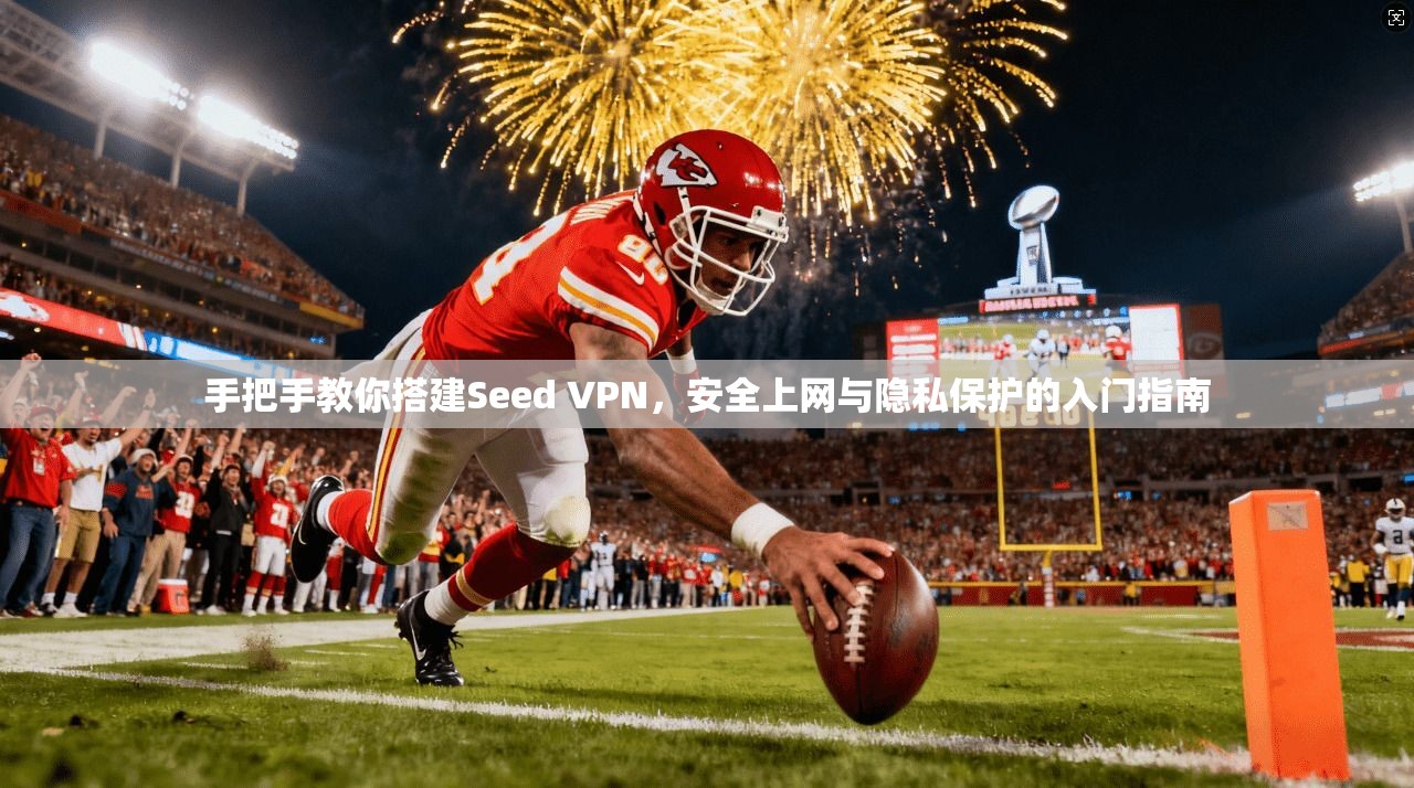 手把手教你搭建Seed VPN，安全上网与隐私保护的入门指南