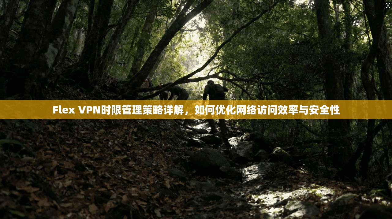 Flex VPN时限管理策略详解，如何优化网络访问效率与安全性