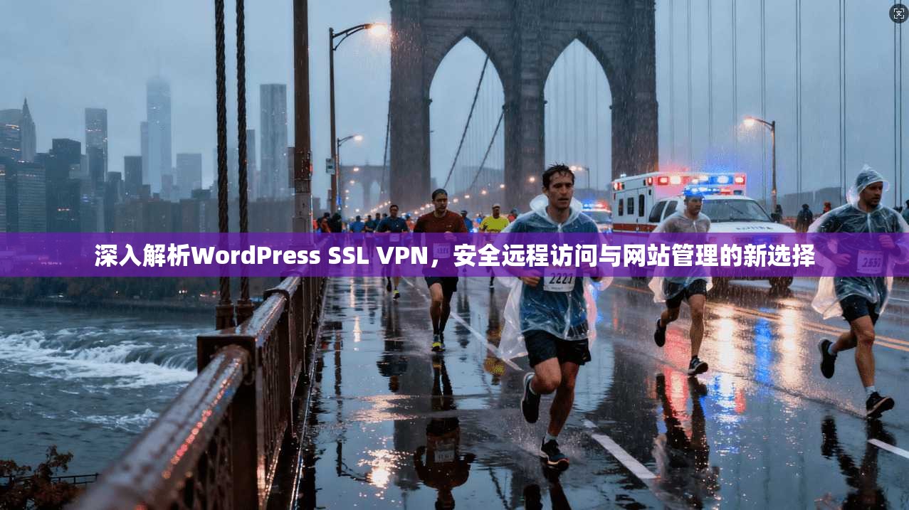 深入解析WordPress SSL VPN，安全远程访问与网站管理的新选择