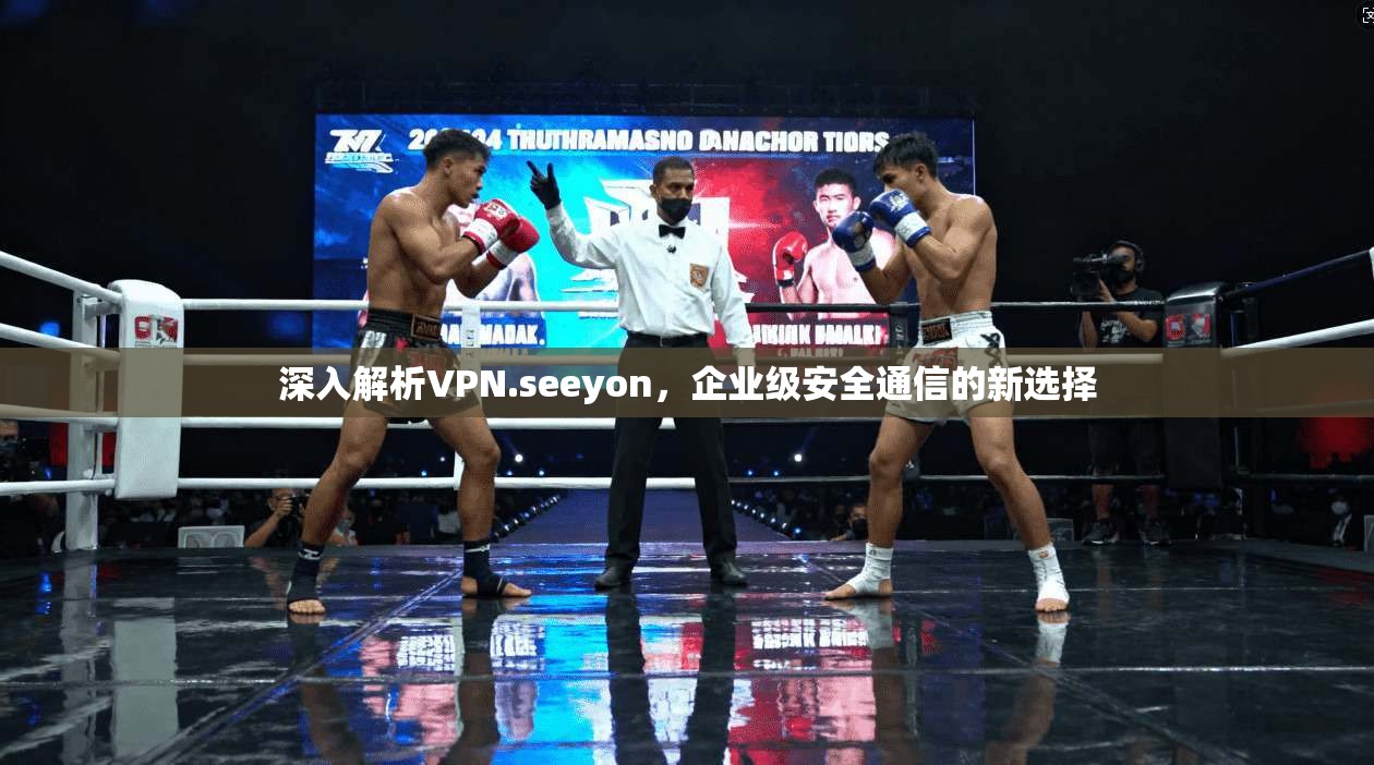 深入解析VPN.seeyon，企业级安全通信的新选择