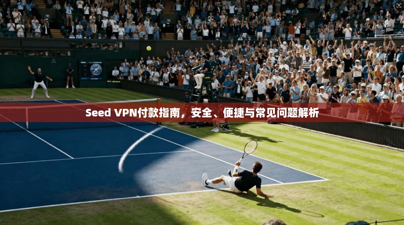 Seed VPN付款指南，安全、便捷与常见问题解析