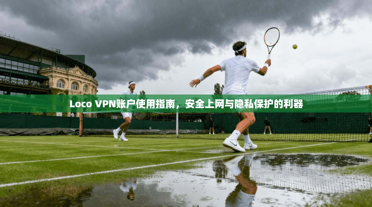 Loco VPN账户使用指南，安全上网与隐私保护的利器