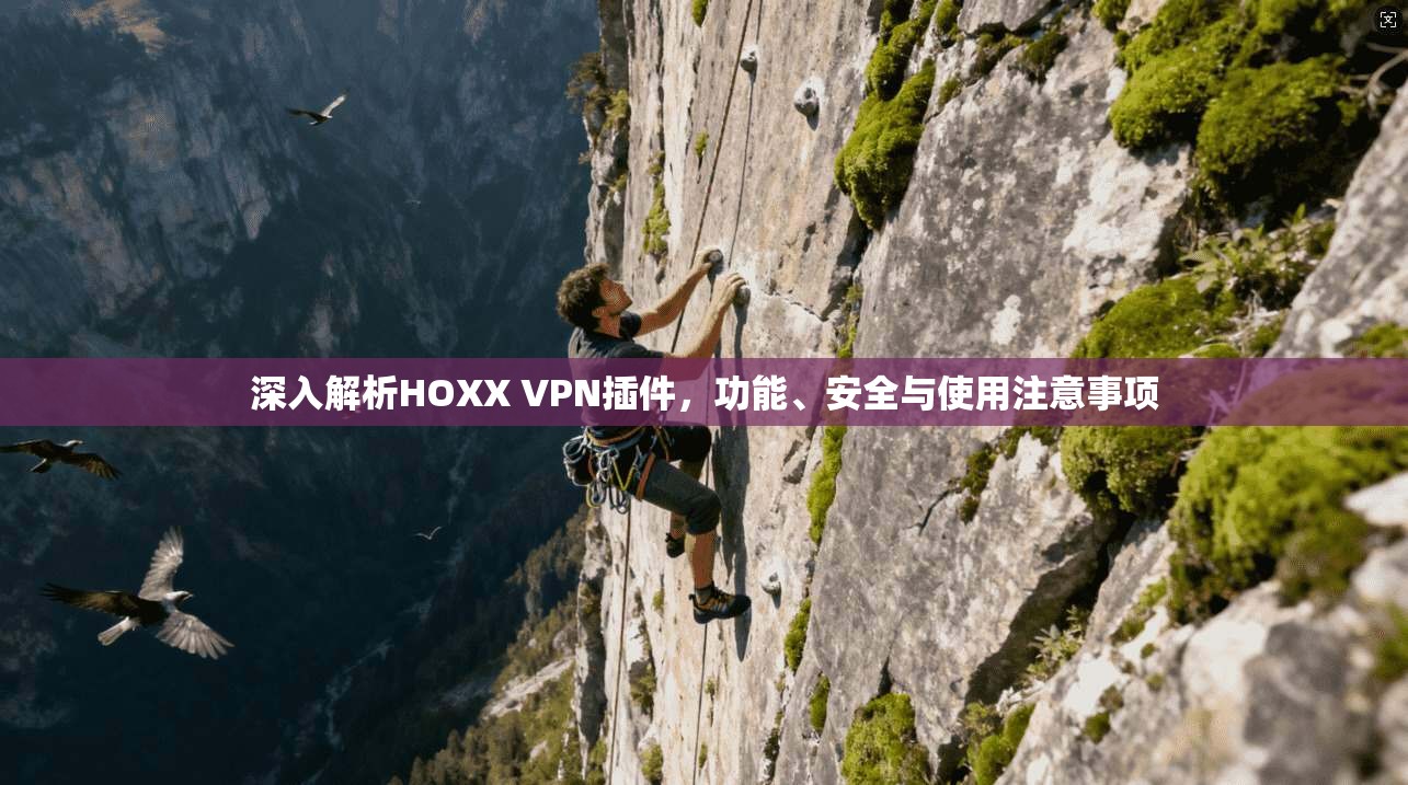 深入解析HOXX VPN插件，功能、安全与使用注意事项