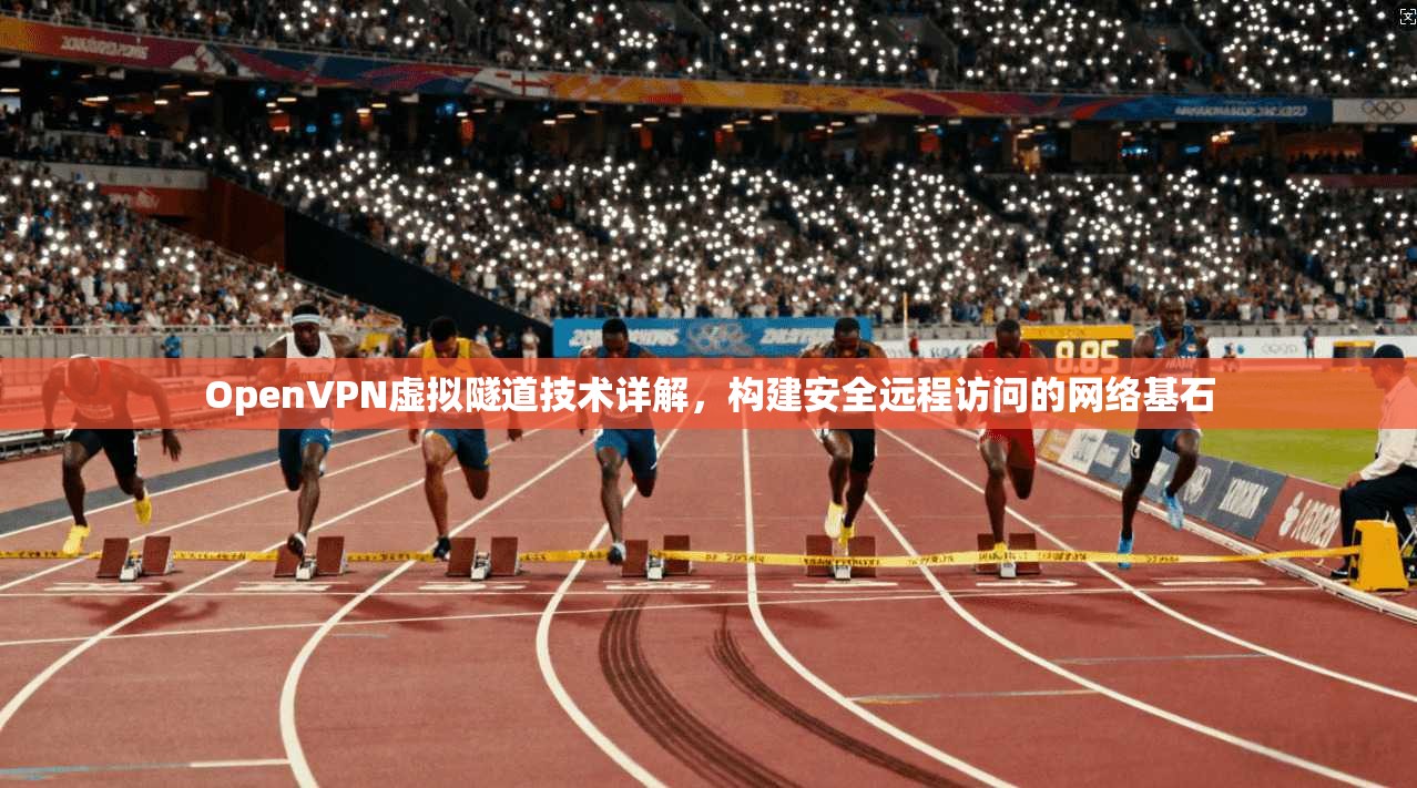 OpenVPN虚拟隧道技术详解，构建安全远程访问的网络基石