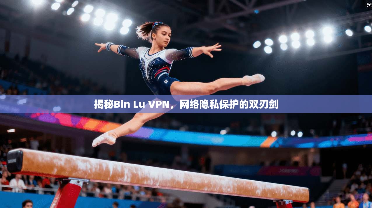 揭秘Bin Lu VPN，网络隐私保护的双刃剑