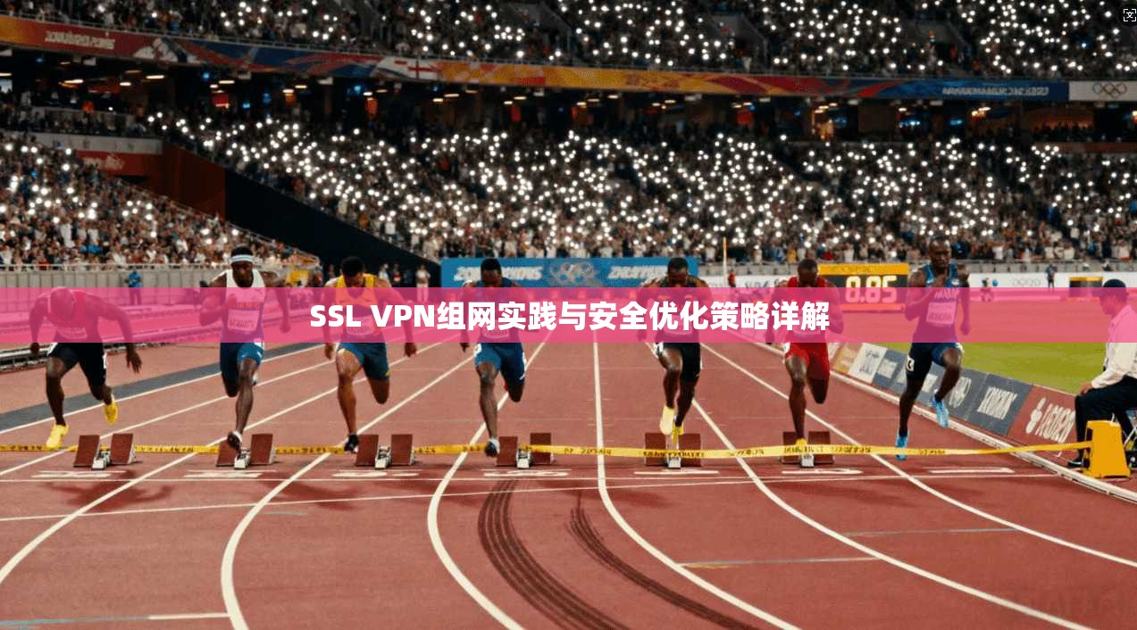 SSL VPN组网实践与安全优化策略详解