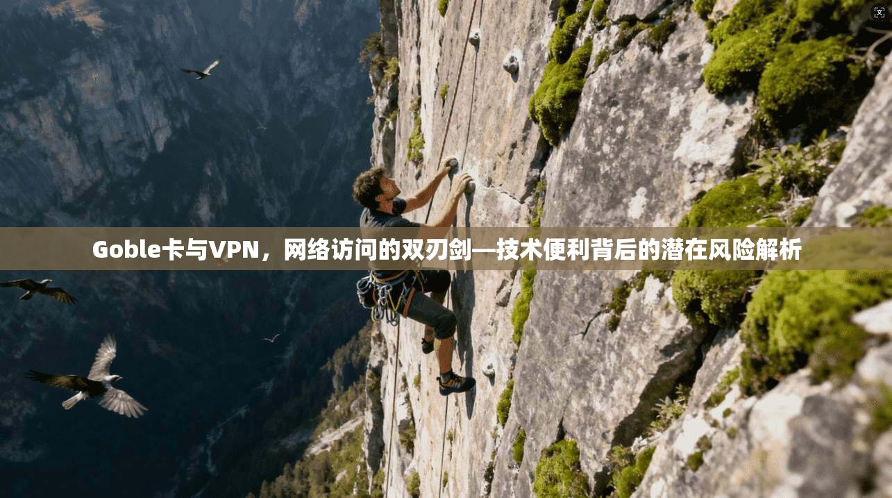 Goble卡与VPN，网络访问的双刃剑—技术便利背后的潜在风险解析