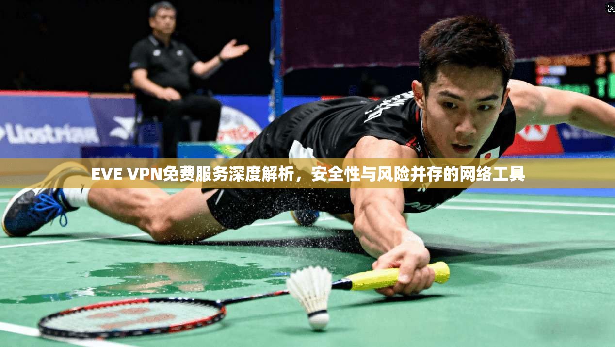 EVE VPN免费服务深度解析，安全性与风险并存的网络工具