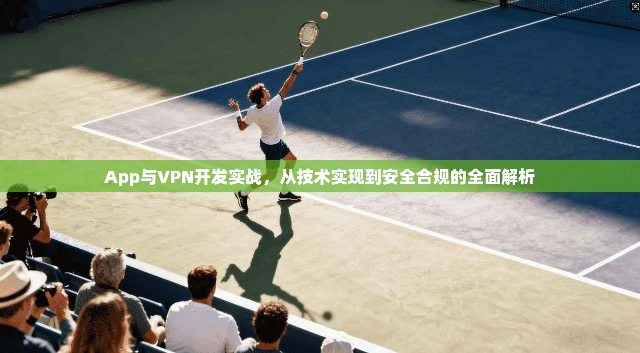 App与VPN开发实战，从技术实现到安全合规的全面解析
