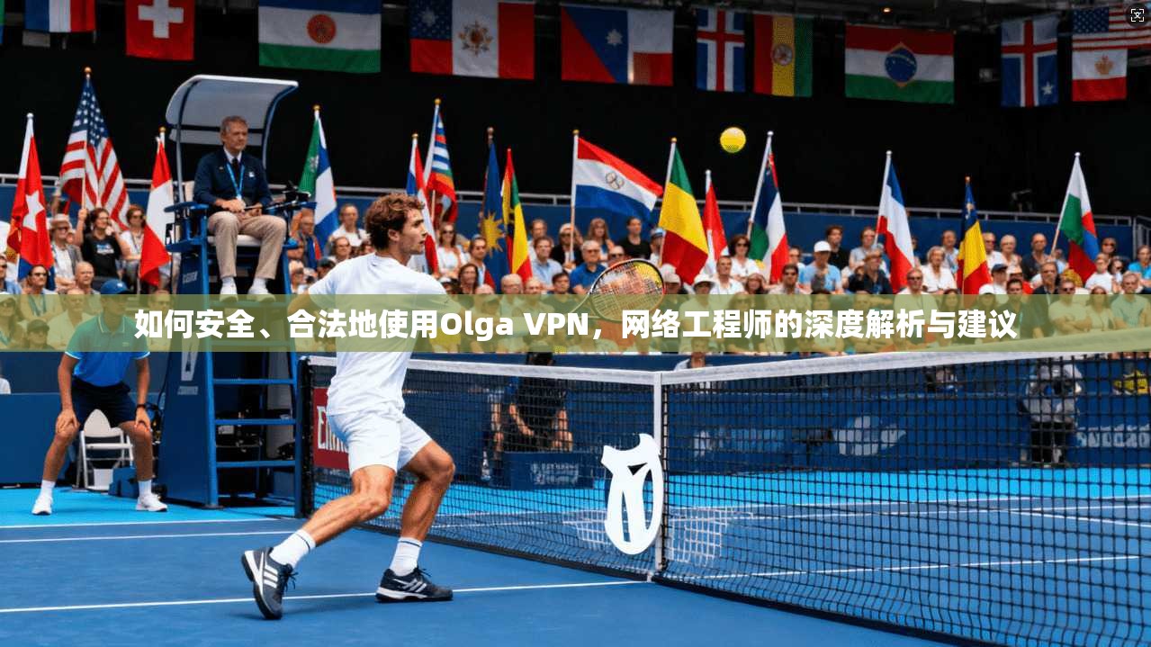 如何安全、合法地使用Olga VPN，网络工程师的深度解析与建议