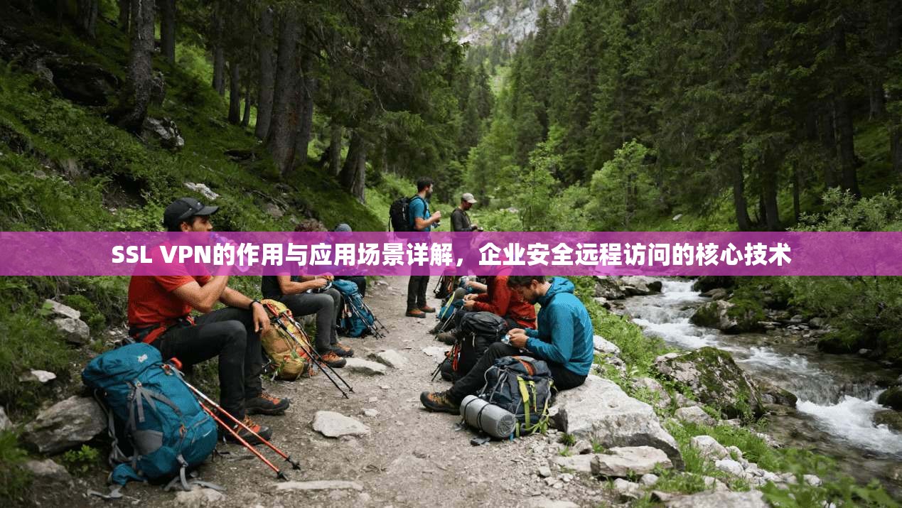 SSL VPN的作用与应用场景详解，企业安全远程访问的核心技术