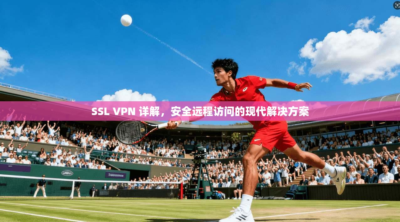 SSL VPN 详解，安全远程访问的现代解决方案