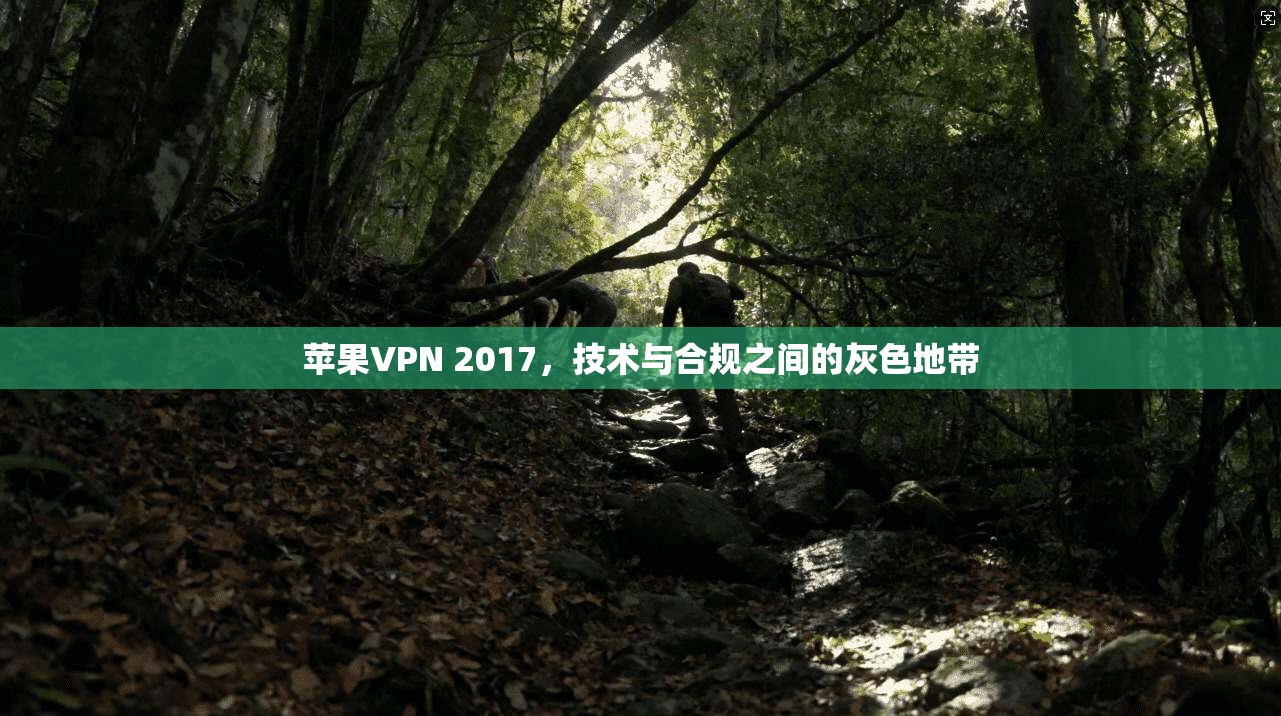 苹果VPN 2017，技术与合规之间的灰色地带