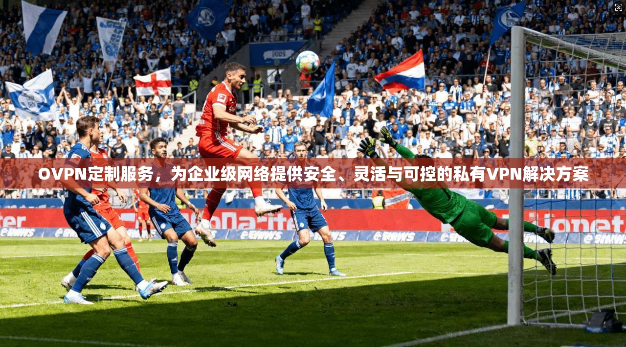 OVPN定制服务，为企业级网络提供安全、灵活与可控的私有VPN解决方案