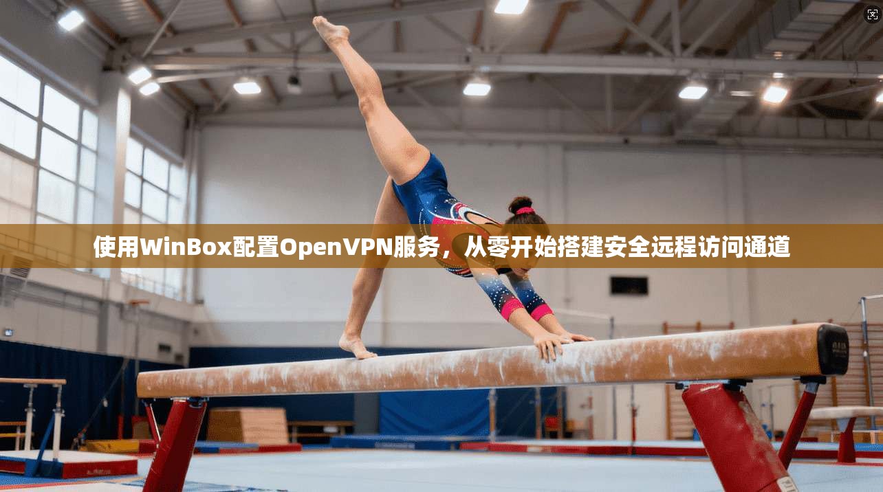 使用WinBox配置OpenVPN服务，从零开始搭建安全远程访问通道