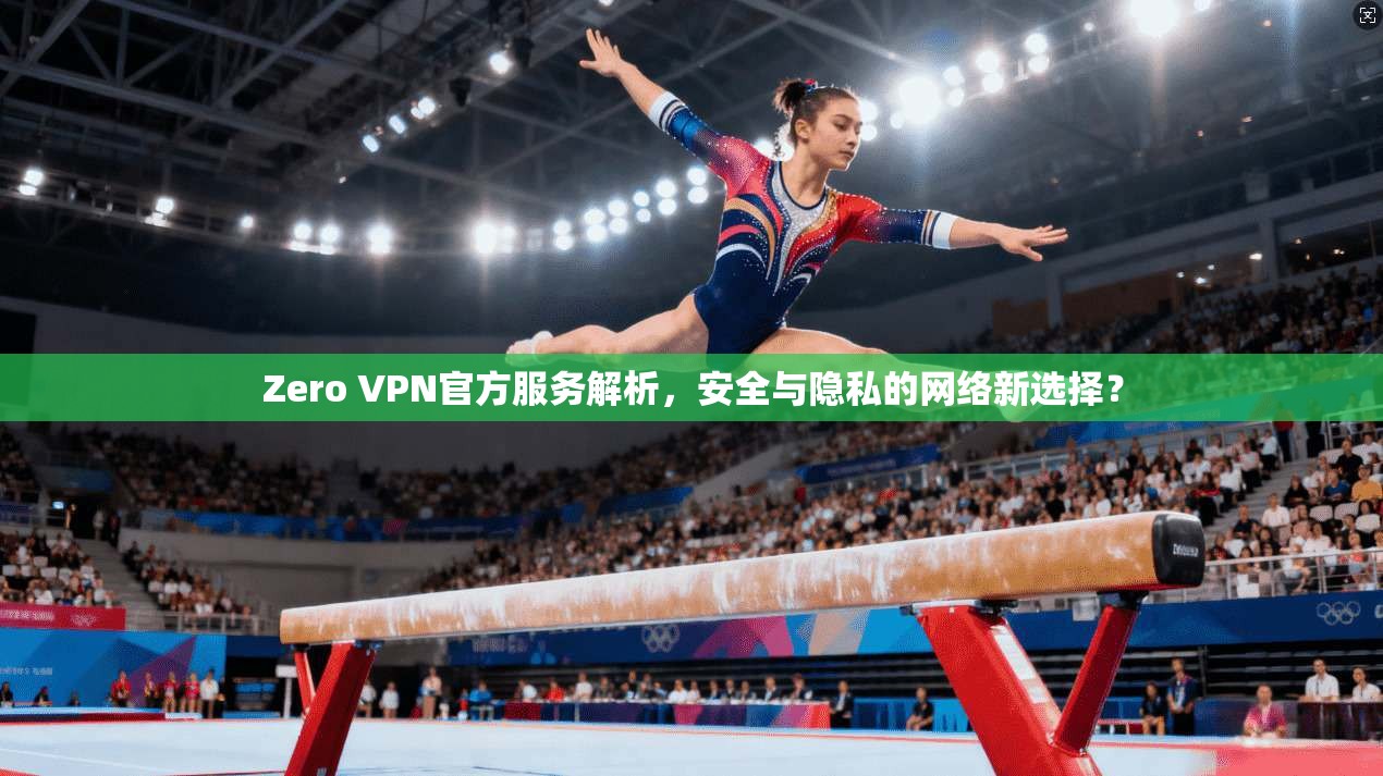 Zero VPN官方服务解析，安全与隐私的网络新选择？