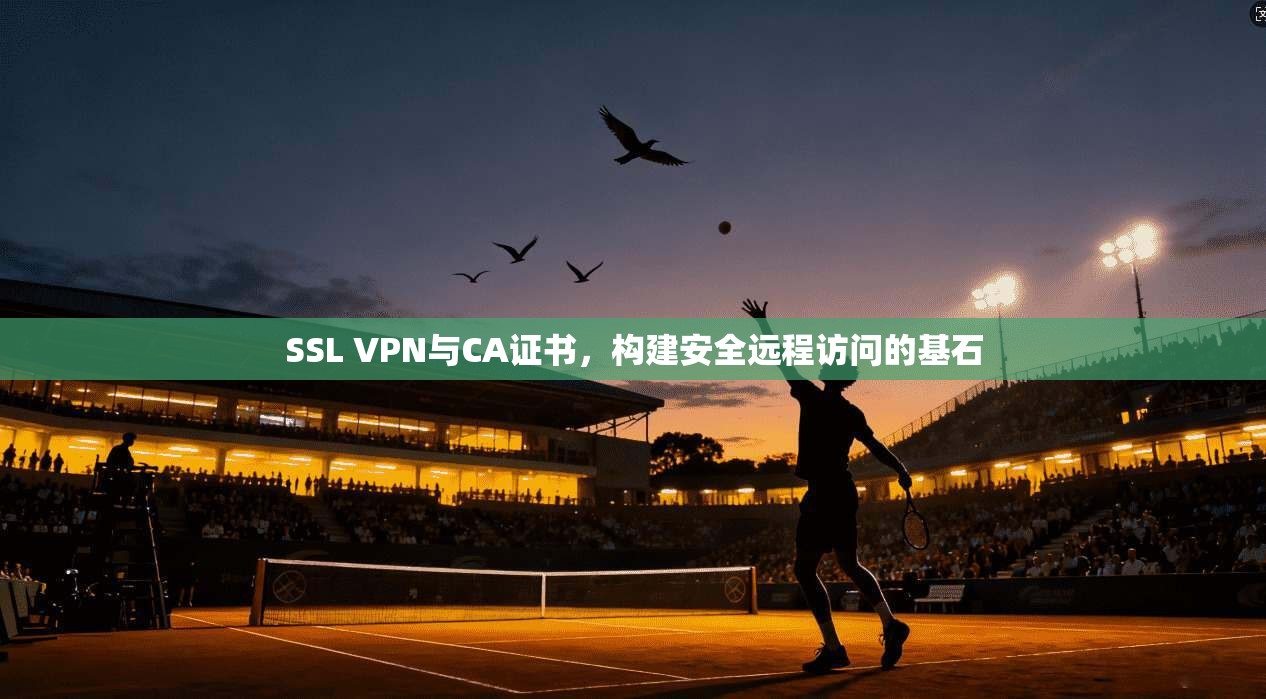 SSL VPN与CA证书，构建安全远程访问的基石
