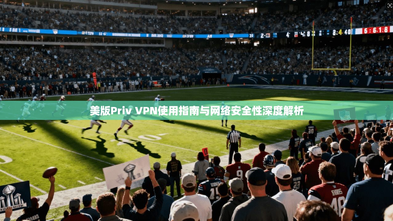 美版Priv VPN使用指南与网络安全性深度解析