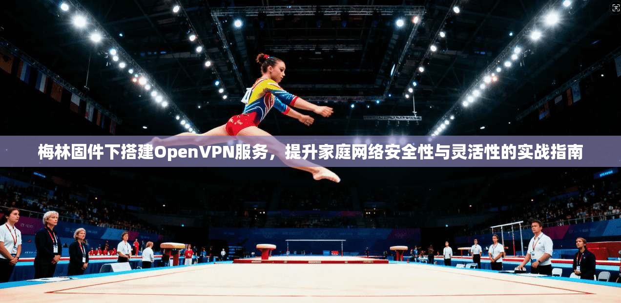 梅林固件下搭建OpenVPN服务，提升家庭网络安全性与灵活性的实战指南