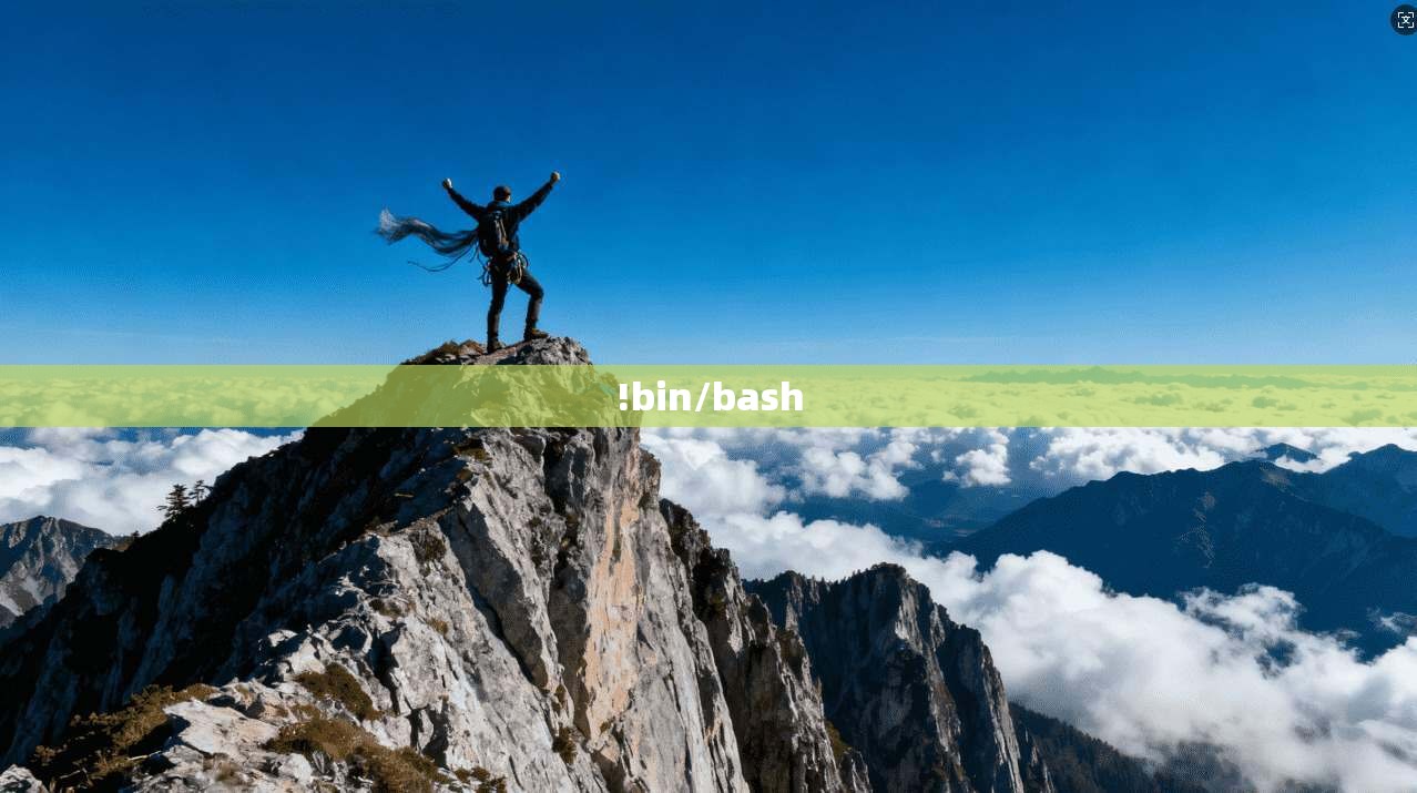 !bin/bash