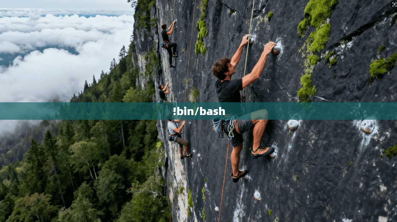 !bin/bash