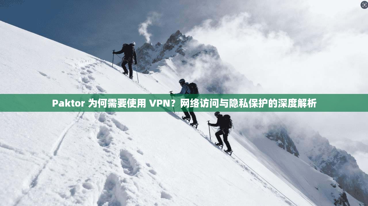 Paktor 为何需要使用 VPN？网络访问与隐私保护的深度解析