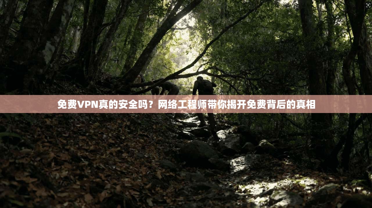 免费VPN真的安全吗？网络工程师带你揭开免费背后的真相
