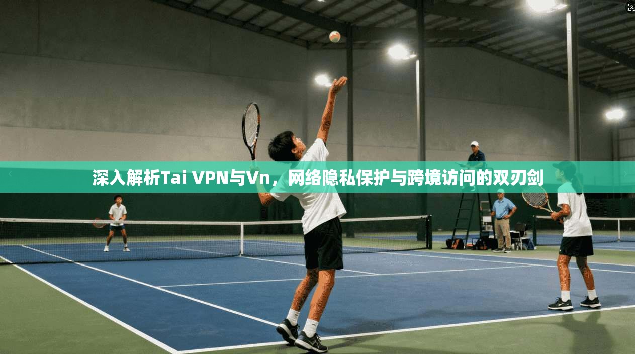 深入解析Tai VPN与Vn，网络隐私保护与跨境访问的双刃剑