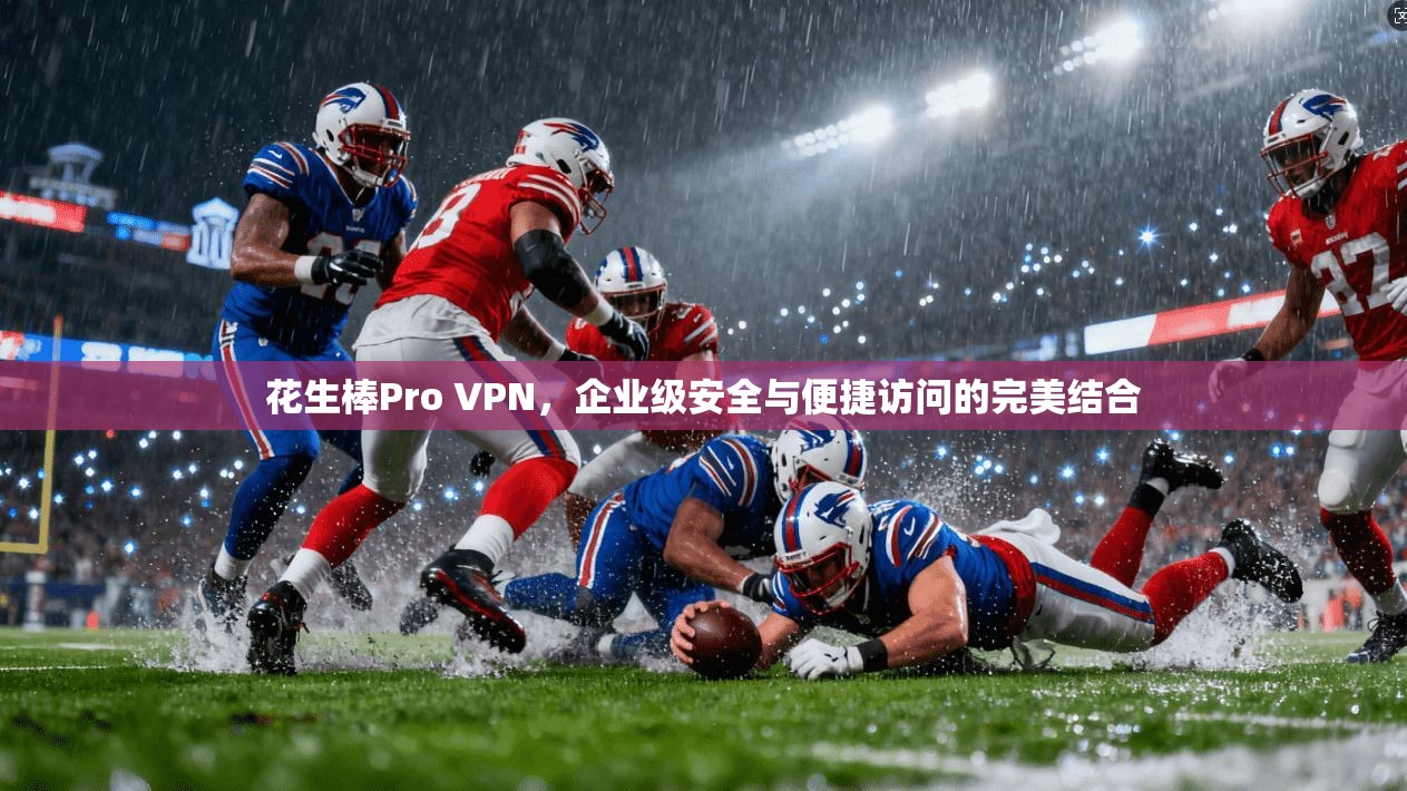 花生棒Pro VPN，企业级安全与便捷访问的完美结合