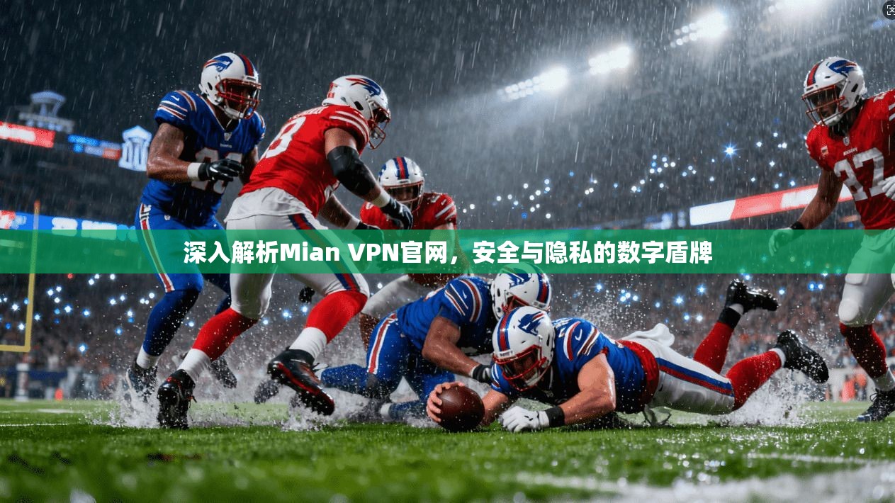 深入解析Mian VPN官网，安全与隐私的数字盾牌