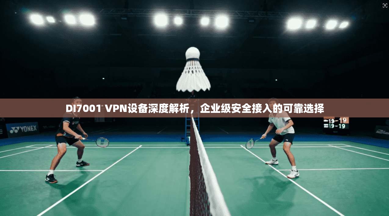 DI7001 VPN设备深度解析，企业级安全接入的可靠选择