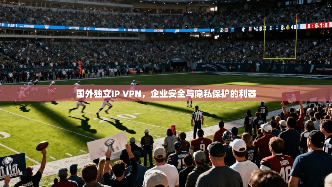 国外独立IP VPN，企业安全与隐私保护的利器